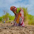 Ajay Banga: Boosting Financial Inclusion in Rural India